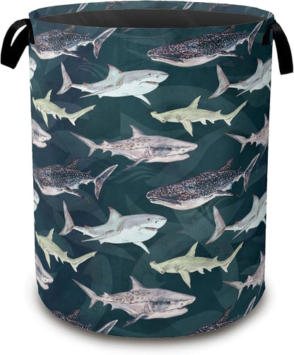 Cute Shark Collapsible Laundry Baskets, Laundry Hamper, Storage Basket by Unknown