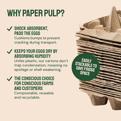 Hatortempt Reusable Paper Pulp Egg Cartons - Image 3