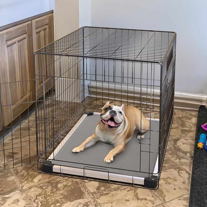 FXW TitanNest Chew-Proof Elevated Dog Bed, Raised Cot - Image 3