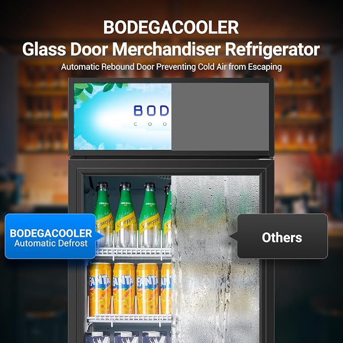 BODEGACOOLER Commercial Merchandiser Refrigerator, 15.5Cu. Ft Glass Door - Image 8