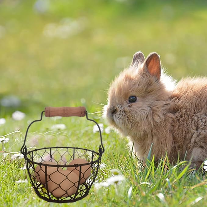 TAIANLE.Small Wire Egg Collecting Basket - Image 7