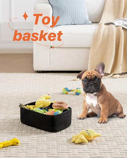 Small Woven Basket, Storage Basket - Image 5