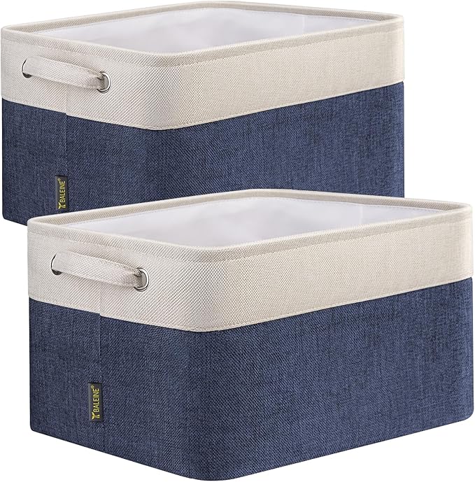 BALEINE 2 Pack Fabric Storage Bins by BALEINE