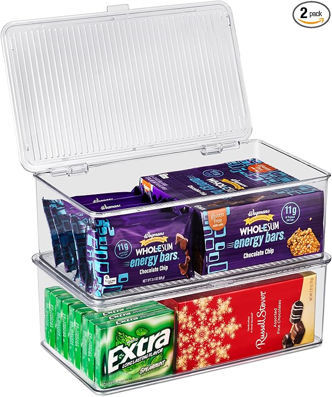 Pantry Storage Bins for with Hinged Lids by Sorbus