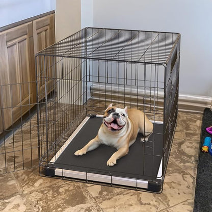 FXW TitanNest Chew-Proof Elevated Dog Bed, Raised Cot - Image 3