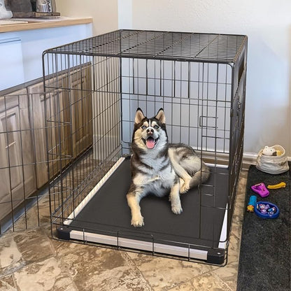 FXW TitanNest Chew-Proof Elevated Dog Bed, Raised Cot - Image 3