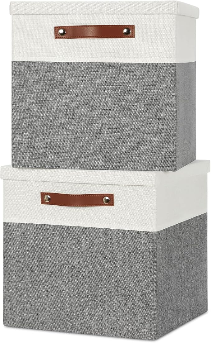 Temary Cube Storage Bins with Lids by TEMARY